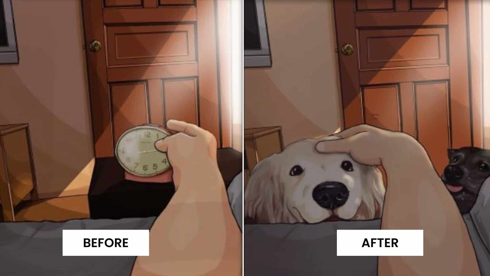 life before and after getting a dog
