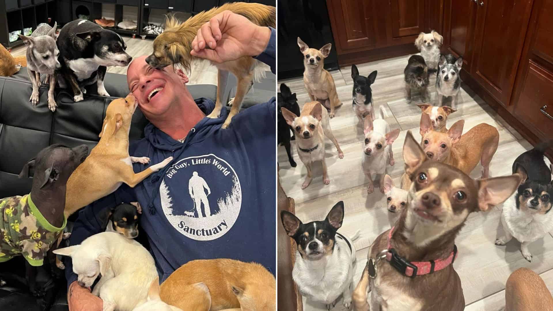 Man Who Used To Make Fun Of Toy Dogs Dedicates His Life To Rescuing Them