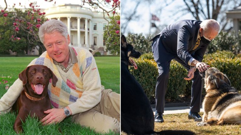 men with their dogs