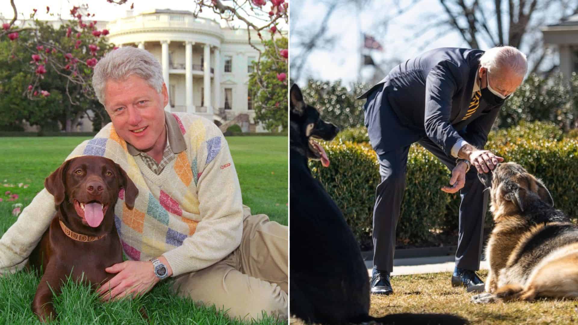 The Most Memorable Dogs Of The Oval Pawffice Of The USA