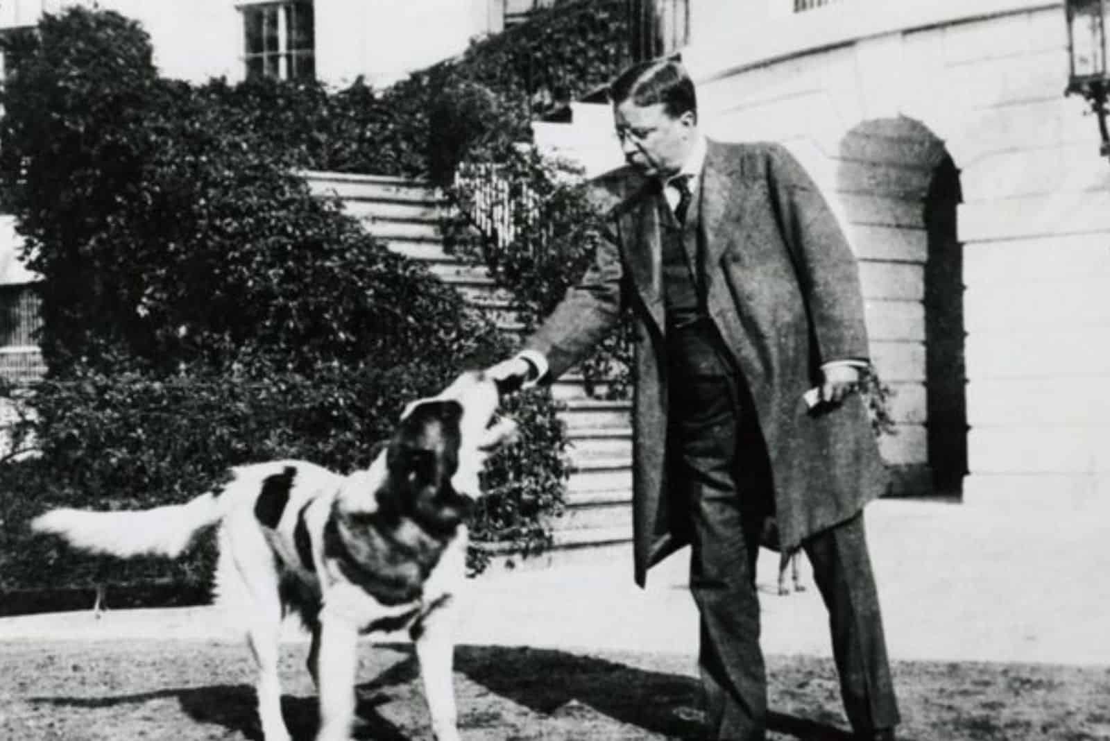 The President With A Lot Of Pets