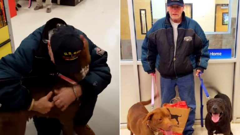 veteran with his dog back