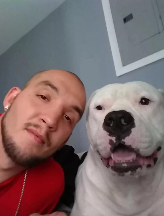 un hombre con un pitbull blanco