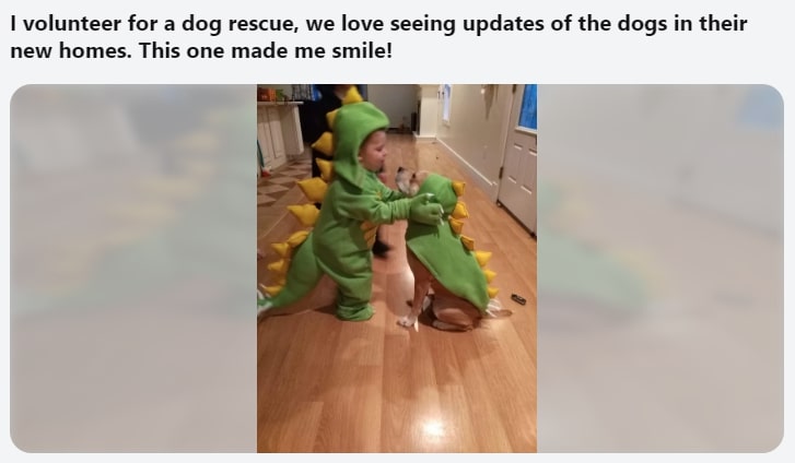 child and dog wearing a dinosaur costume