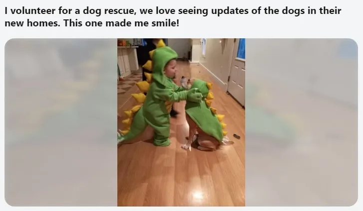 child and dog wearing a dinosaur costume
