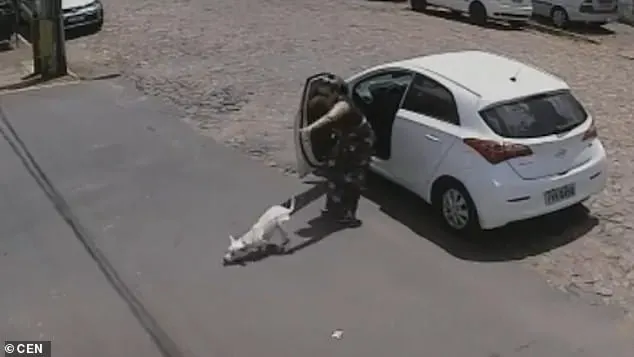 dog running from woman