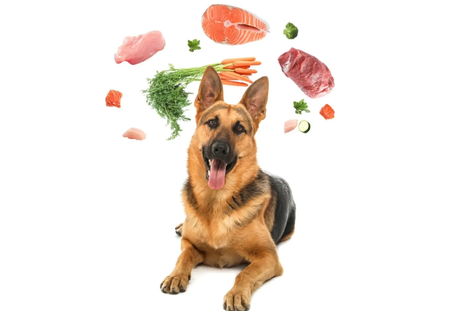 dog surrounded by fresh products rich in vitamins