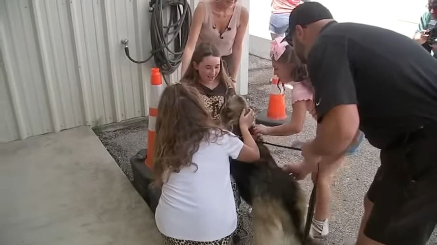 emotional reunion between sheba and her long-lost family