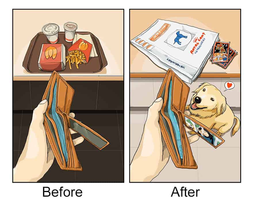 funny illustration showing spending habits before and after getting a dog
