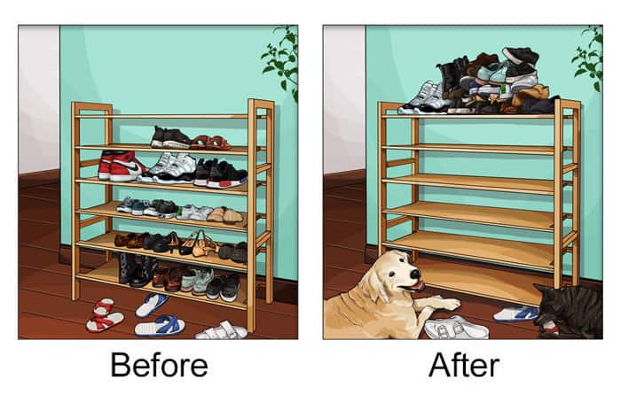 funny illustration shows how dog owners have to put their shoes far away from dogs