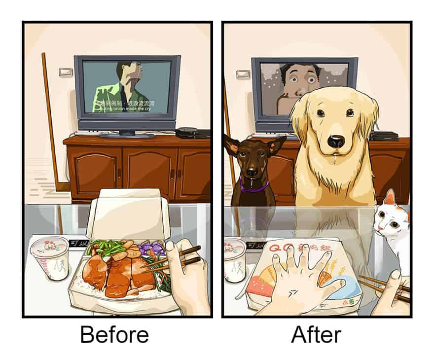 funny photo about eating food before and after getting a dog