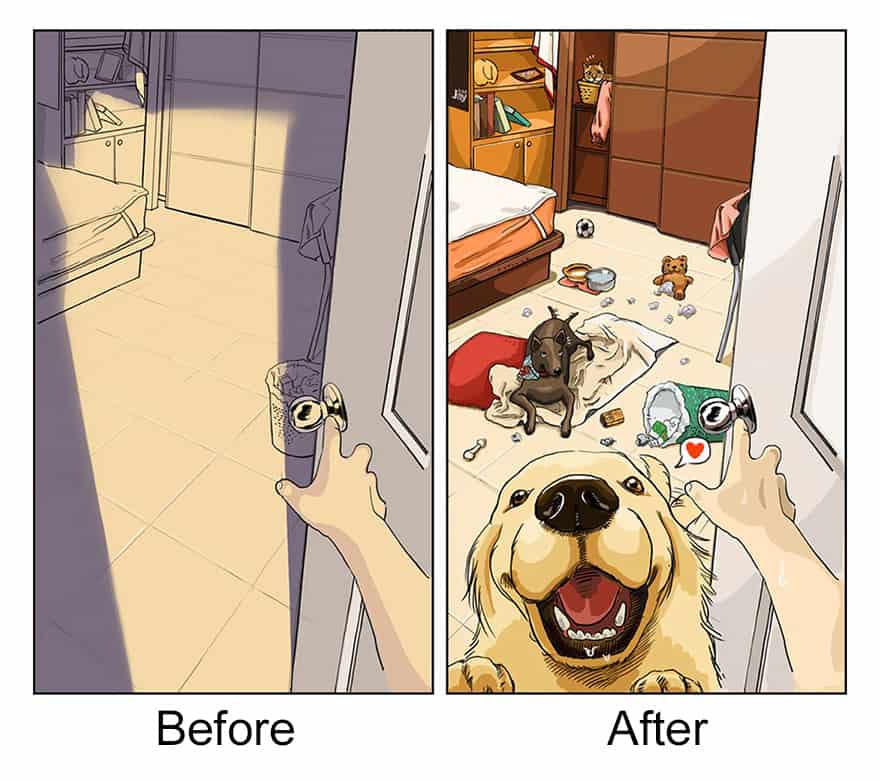 funny photo of a life before and after a dog