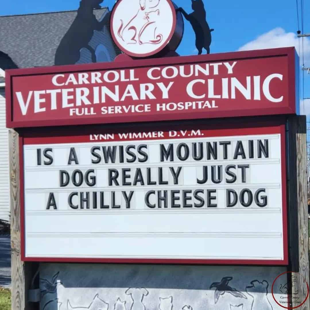funny vet sign