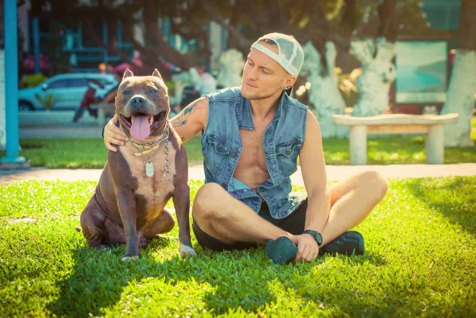 man and dog american pit bull terrier relaxing at the park