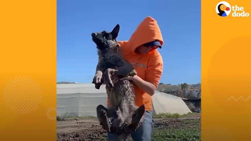 man carrying a dog in his arms