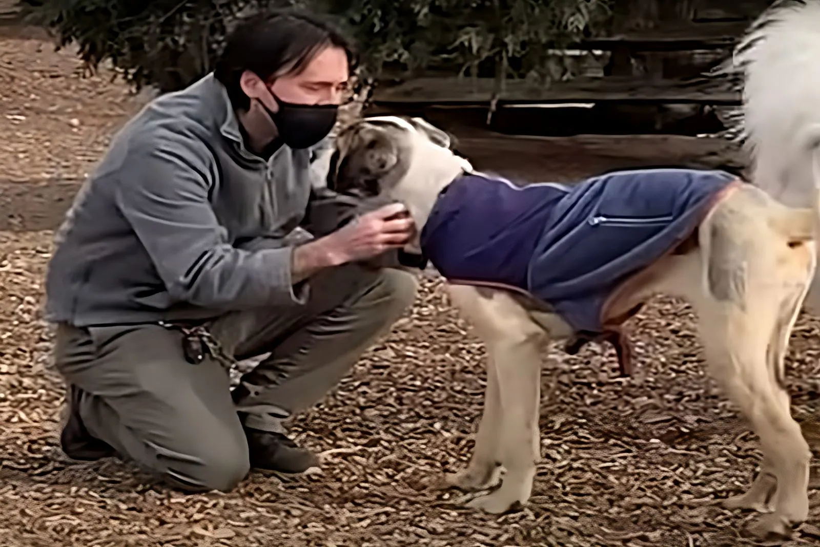 hombre abrazando a un perro en el parque