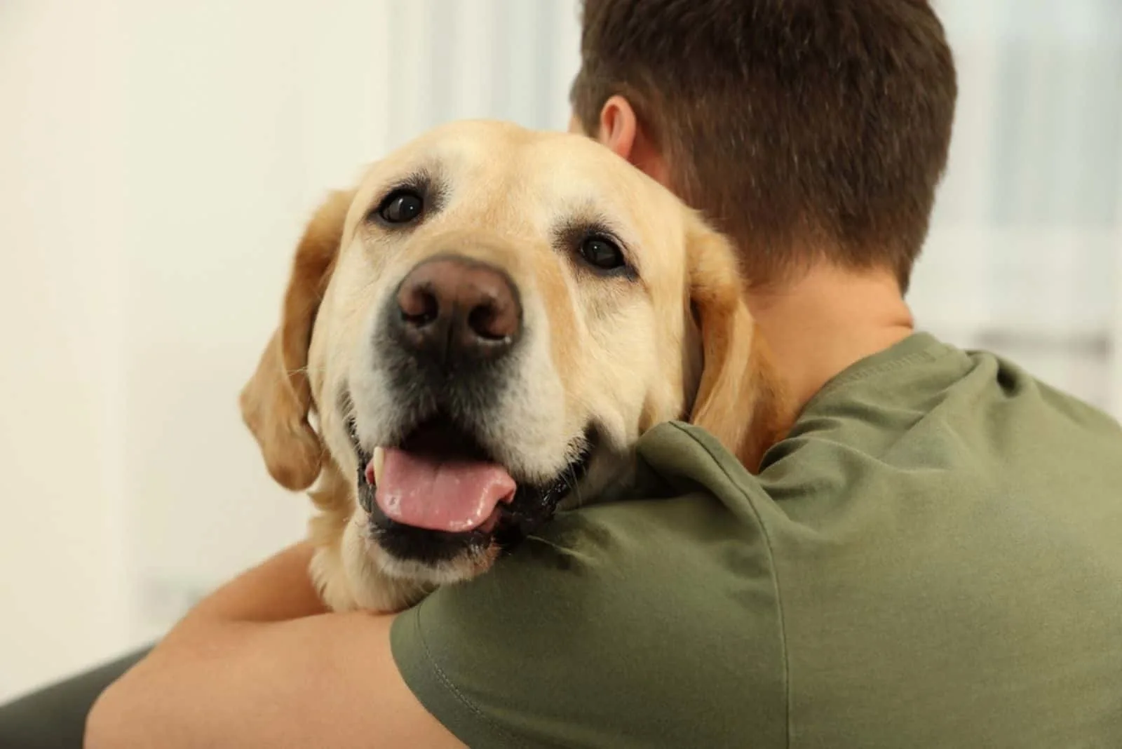 man hugging his labrador retriever at home