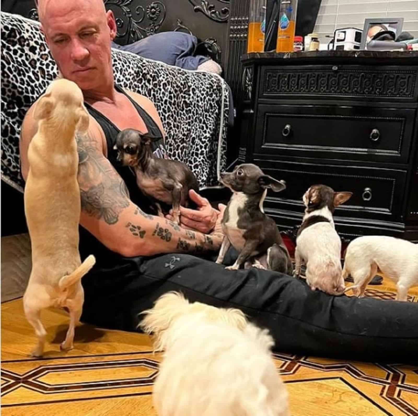 man playing with toy dogs in house
