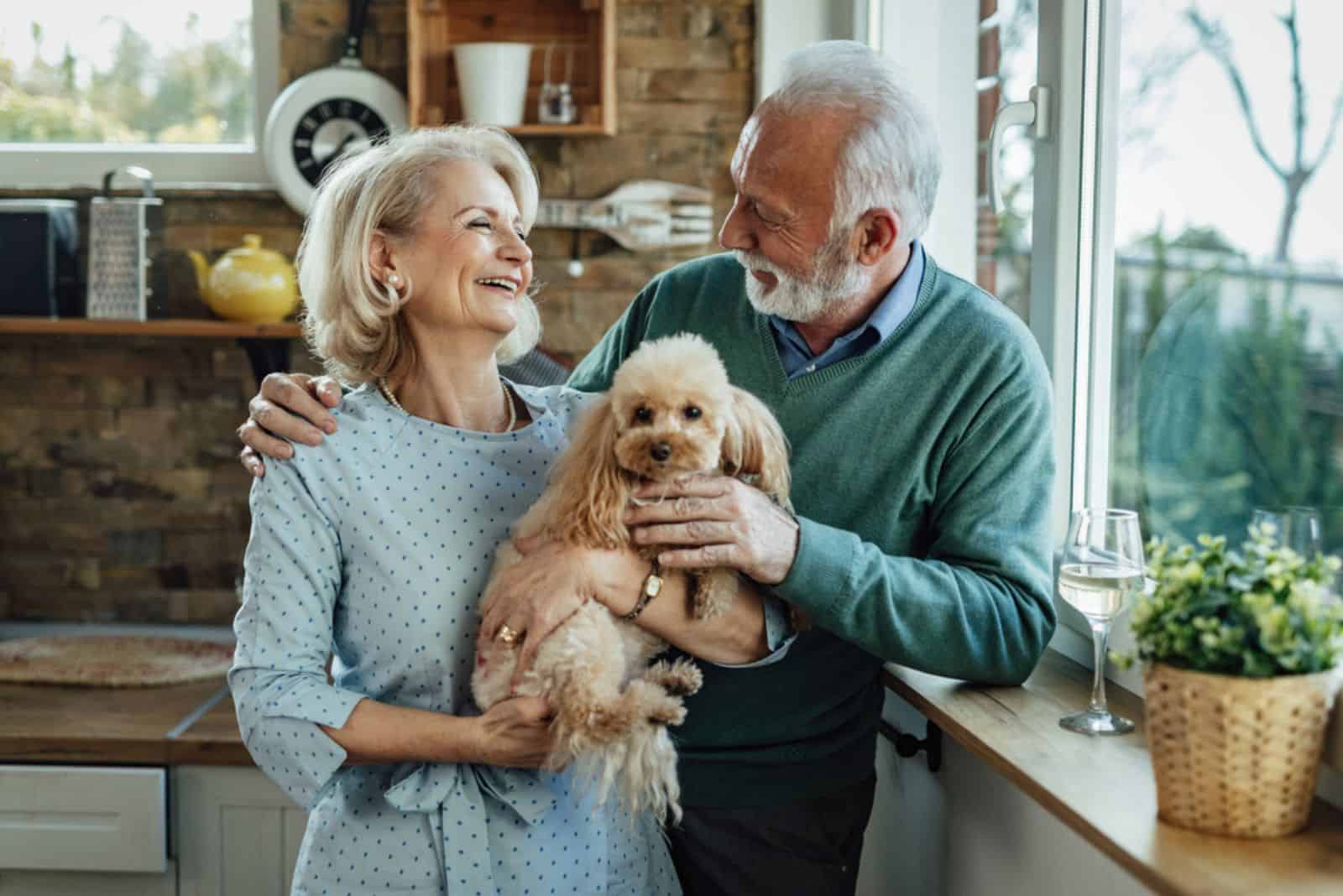 mature couple and their poodle dog in the kitchen