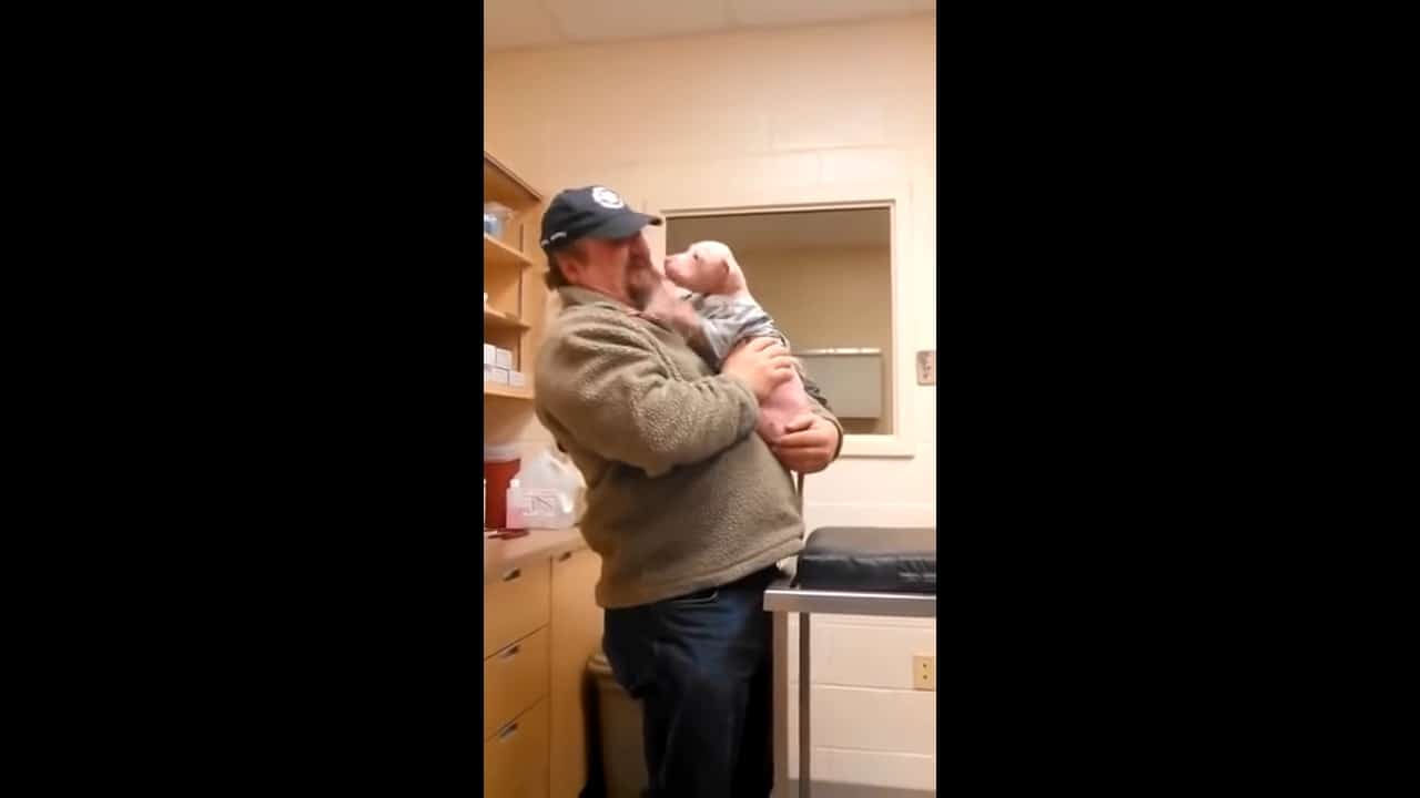 mojo in the arms of his rescuer