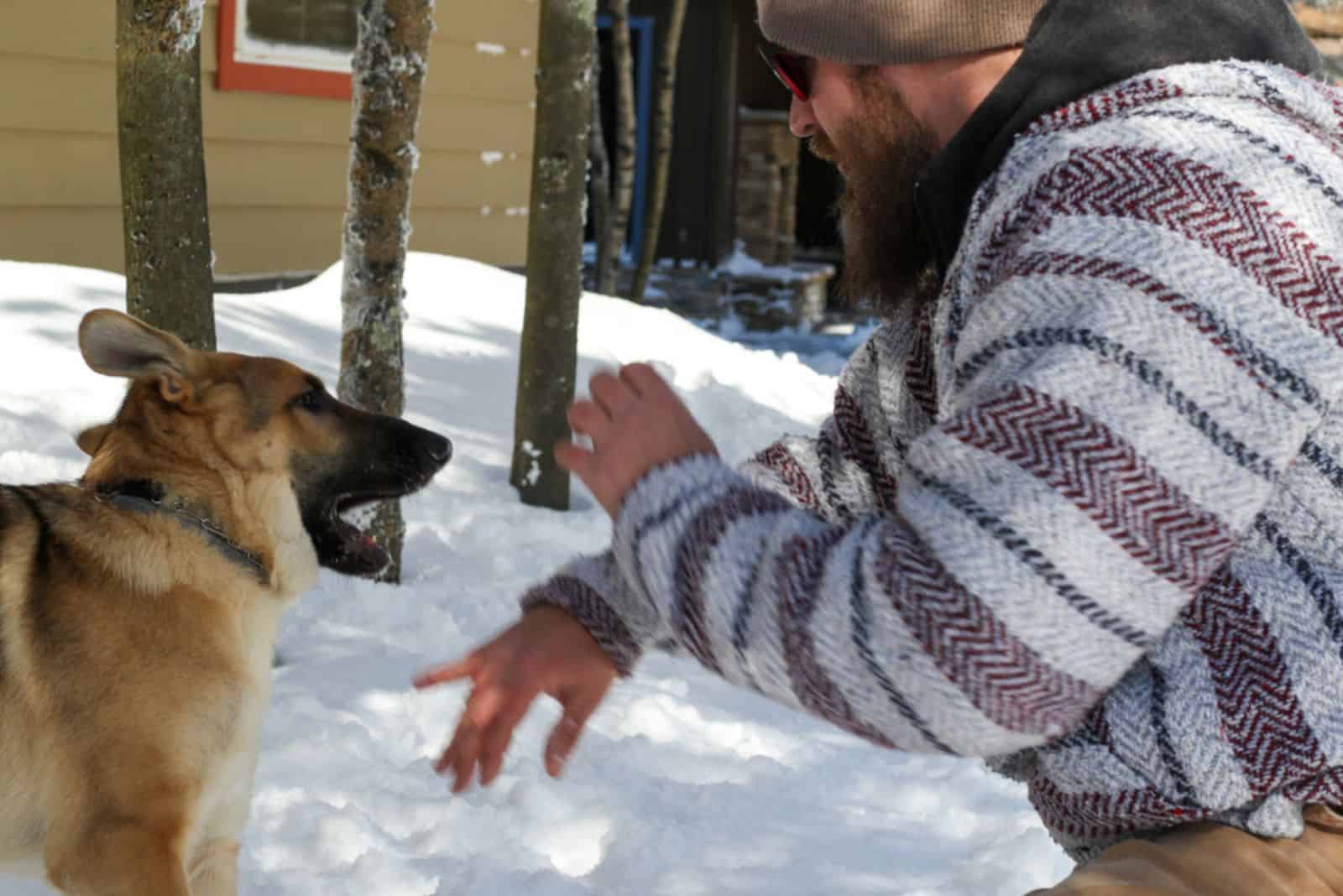 owner and his german shepherd dog playing in the snow