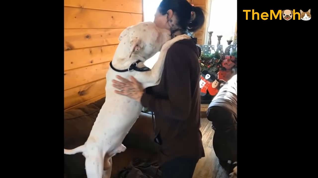 phoenix hugs his new owner