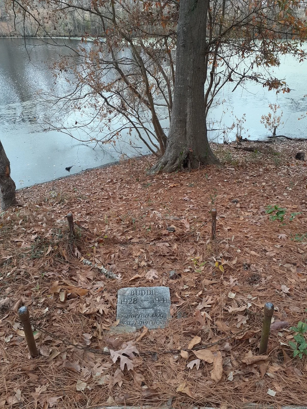 photo of the dog grave in Kiroli Park