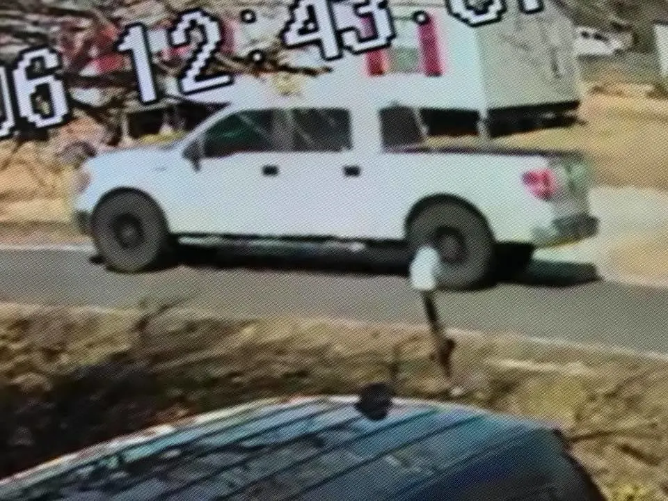 photo of the truck that took away sheba