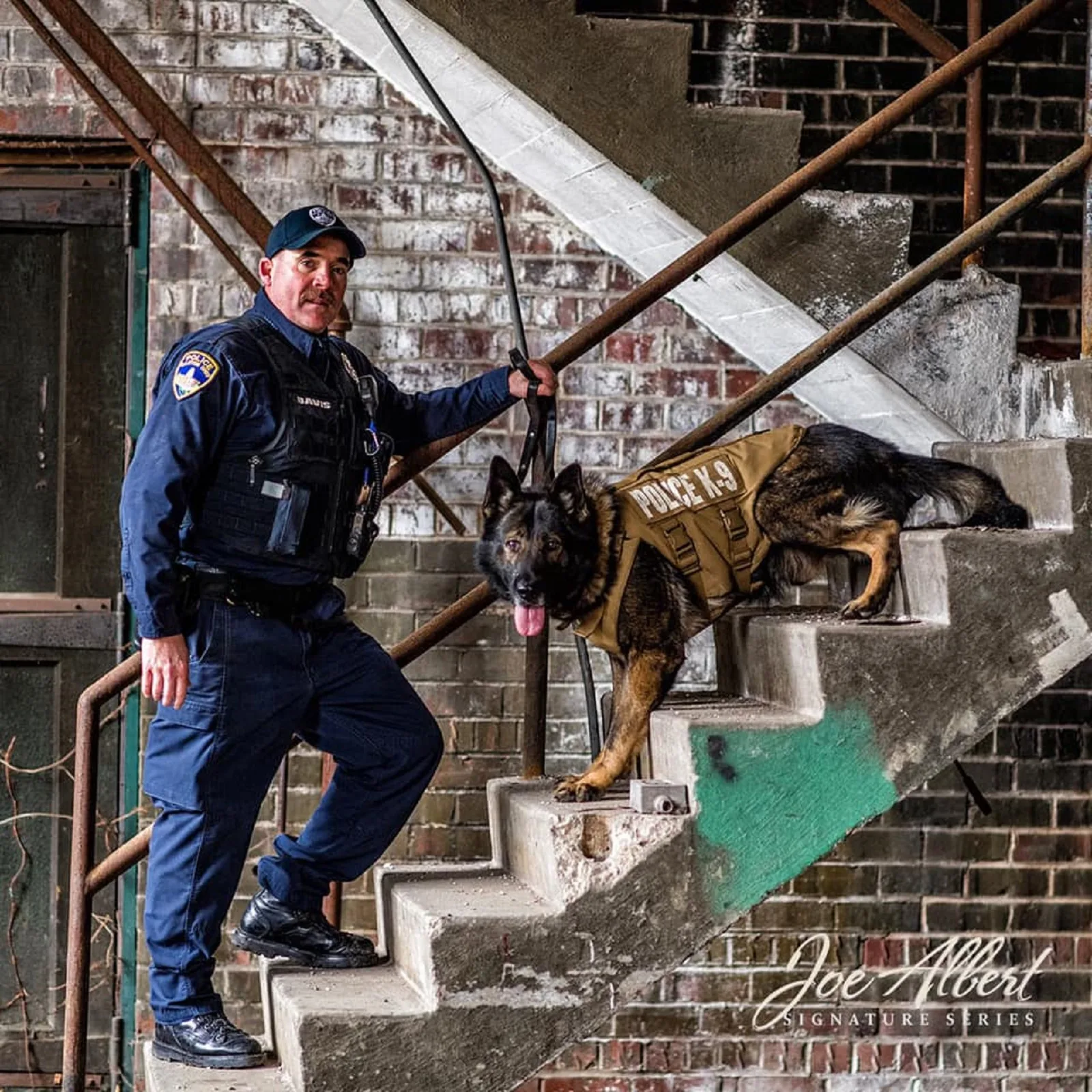 Oficial de policía y perro pastor alemán de pie en las escaleras