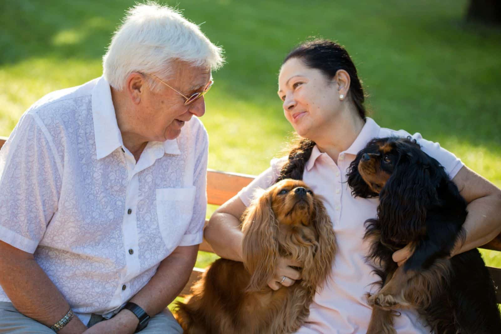 senior couple with two cavalier king charles spaniel dogs in the park