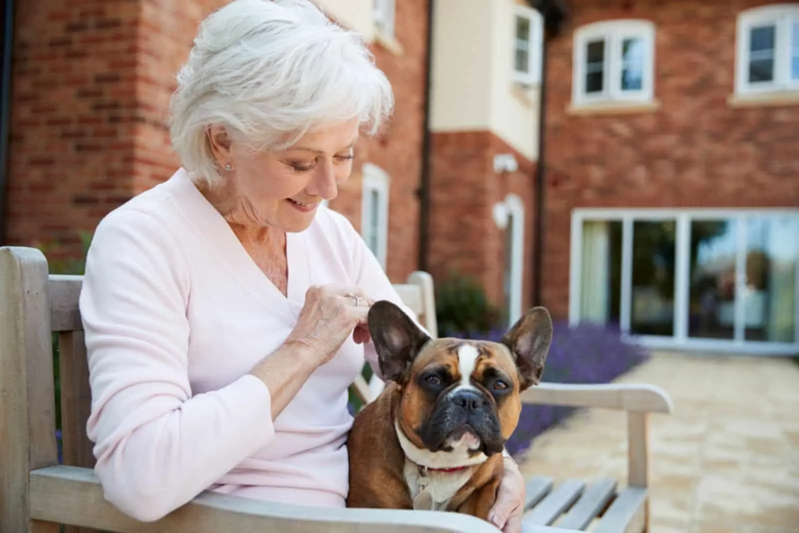 senior woman and her french bulldog sitting on the bench