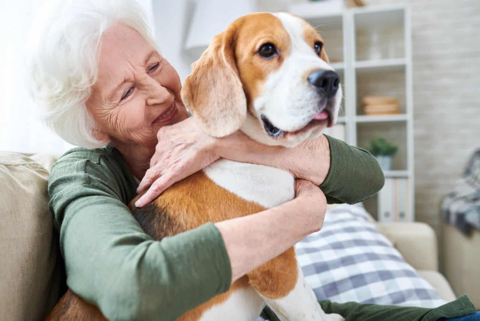 senior woman embracing her beagle dog on the couch