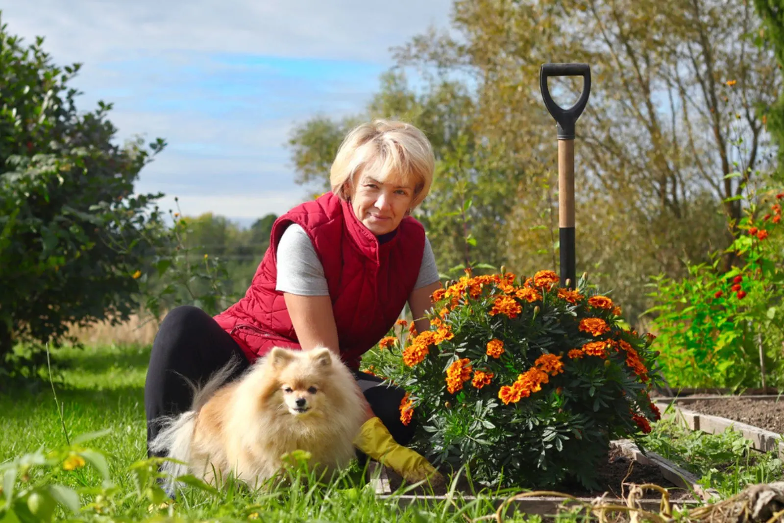 senior woman with her pomeranian dog in the garden
