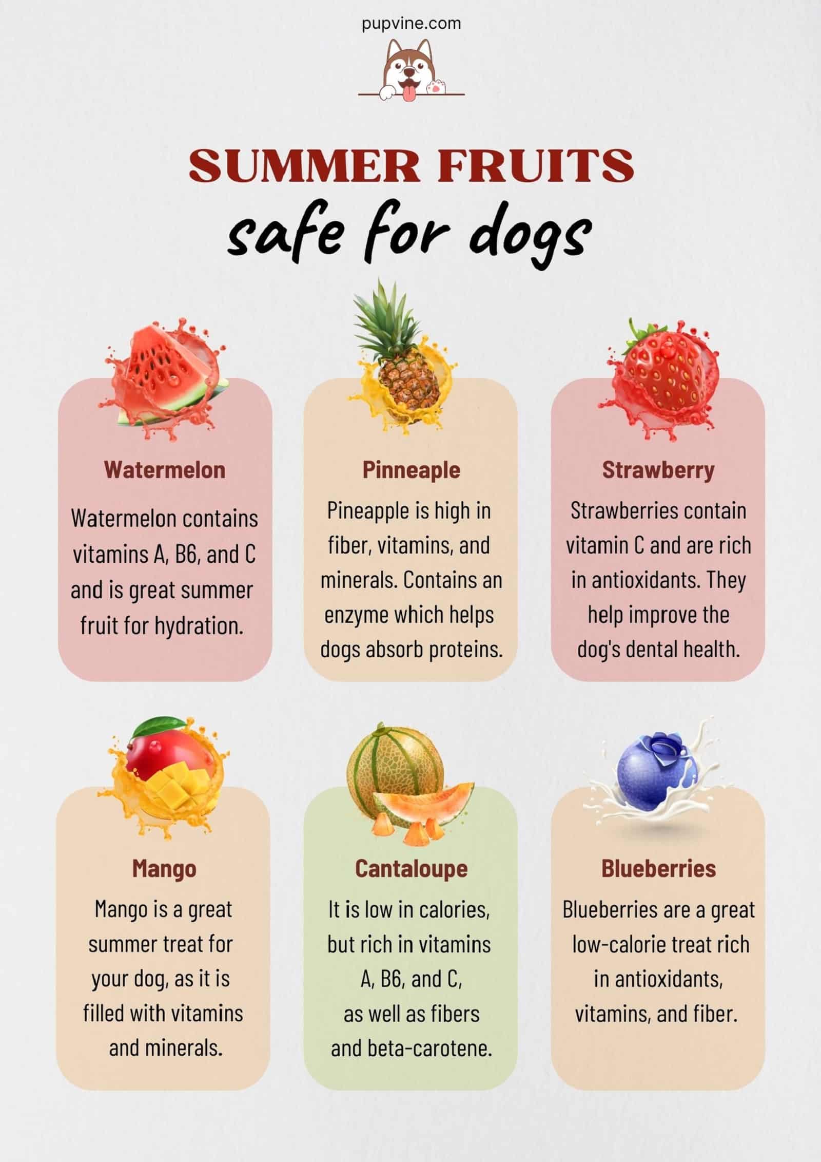 summer fruits safe for dogs