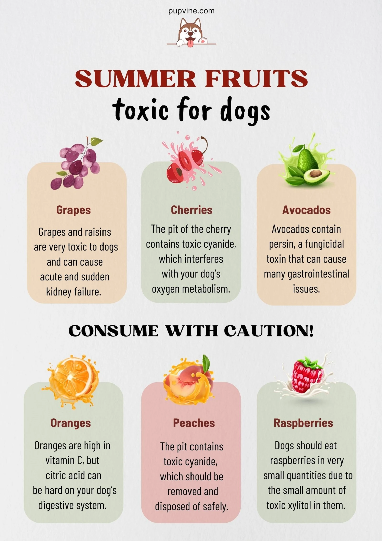 summer fruits toxic for dogs