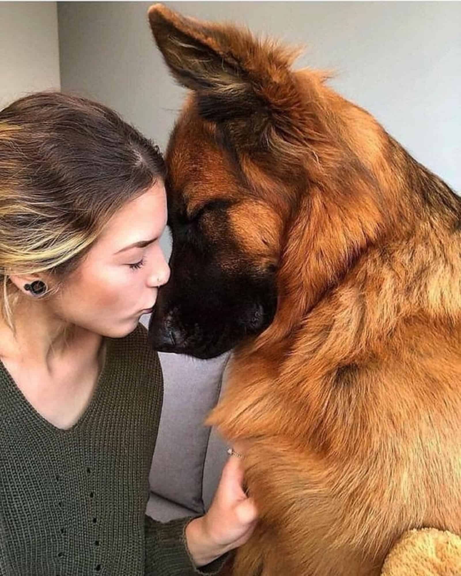 woman and german shepherd dog cuddling on the couch