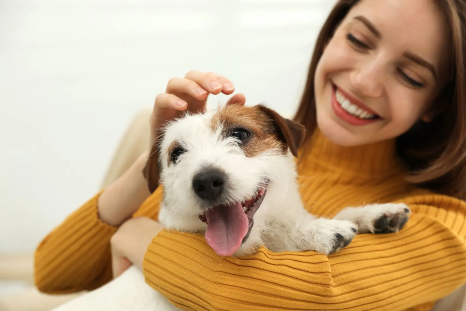 woman cuddling jack russell terrier dog in her arms