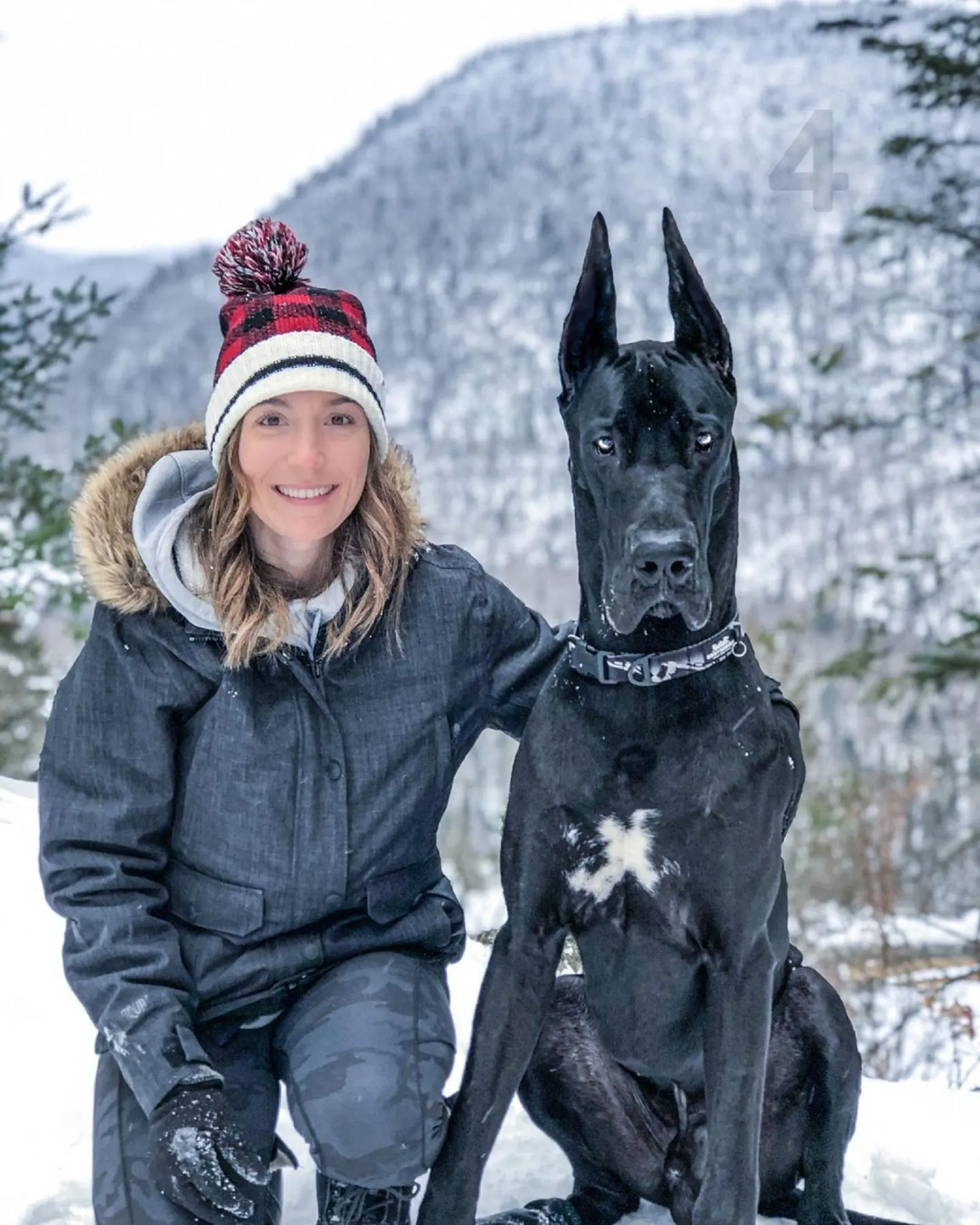 woman embracing black great dane dog in the snow