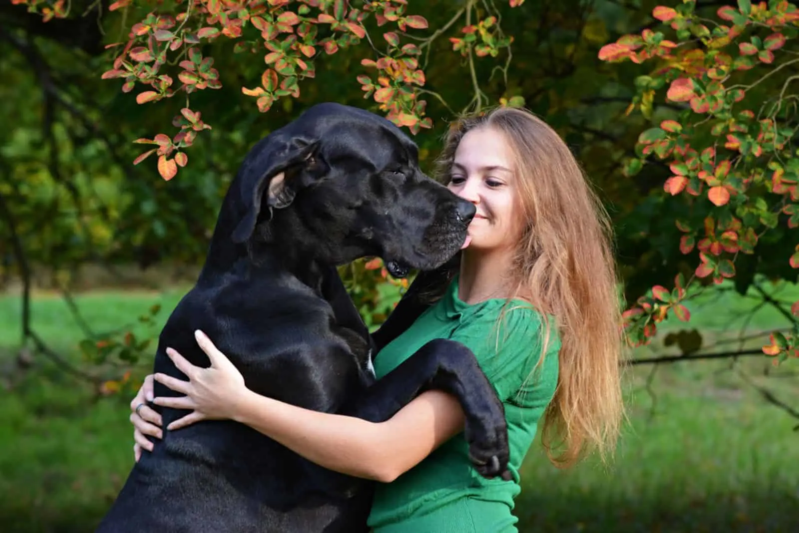 woman hugging her great dane dog in the yard