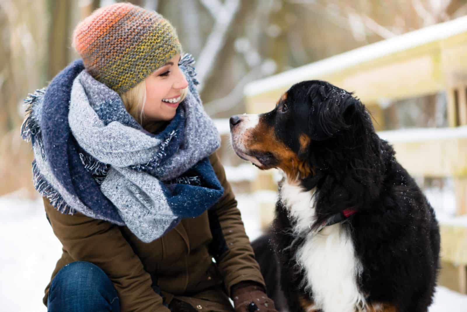 woman playing with bernese mountain dog on the snow