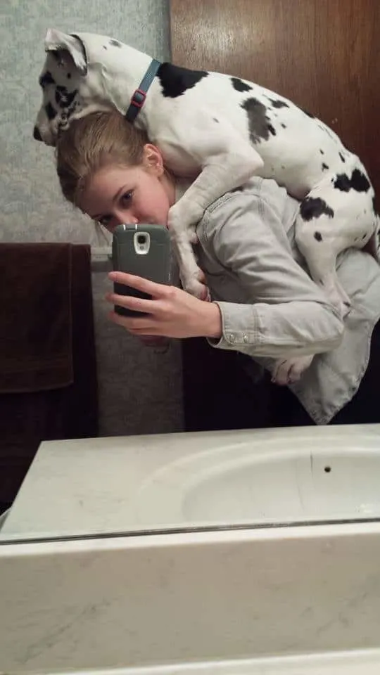 woman taking a selfie with great dane on her back