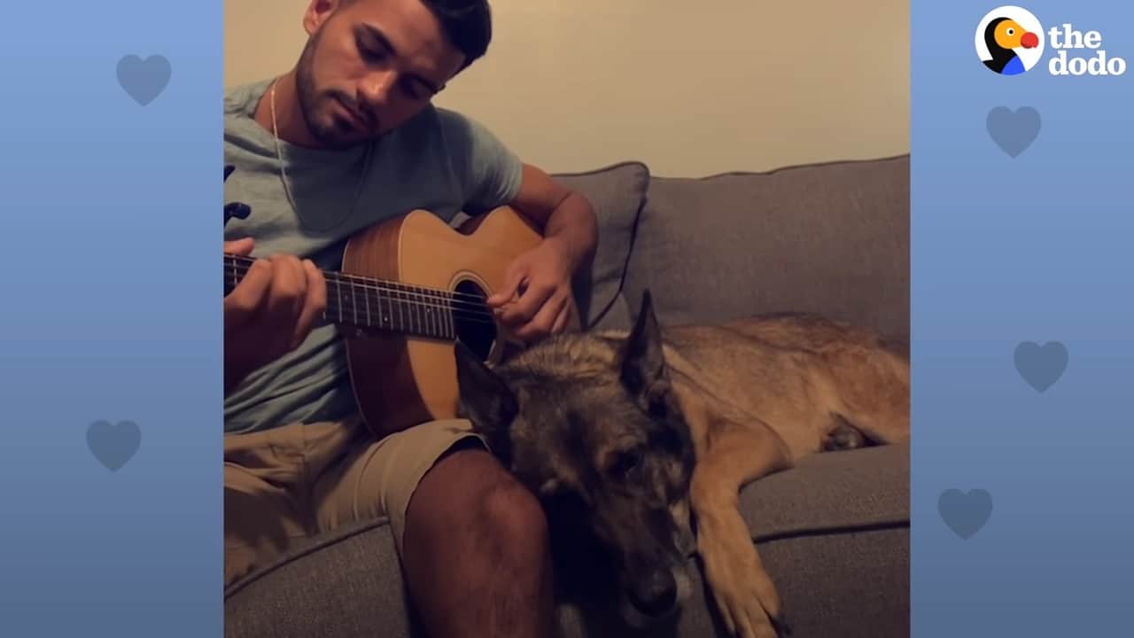 young man playing the guitar to german shepherd