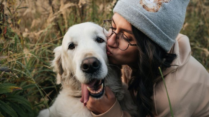 9 Dog Breeds For Emotional Support That Will Make Stress Go Away