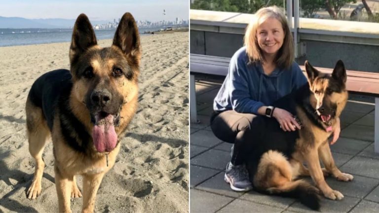 woman with german shepherd dog
