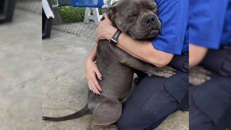 dog and woman hugging
