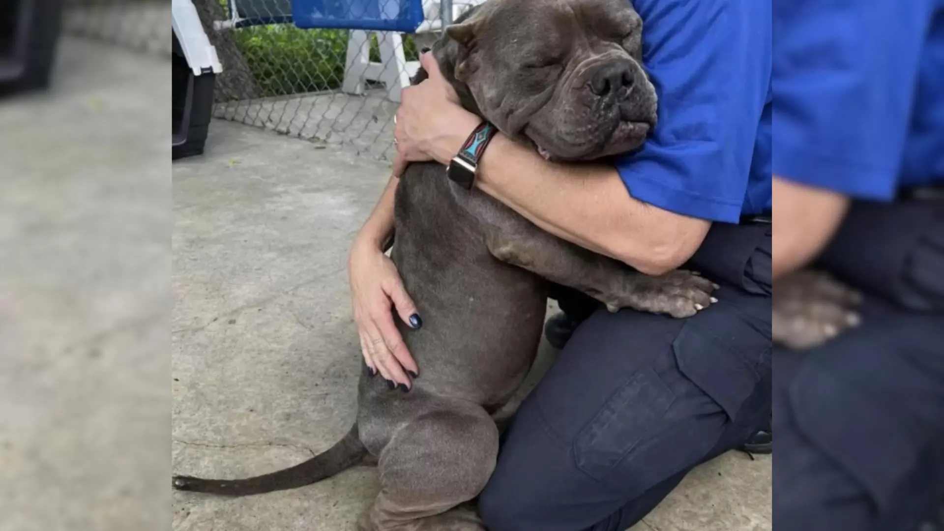 Poor Rescue Dog Gives His Rescuers The Biggest Hug Ever