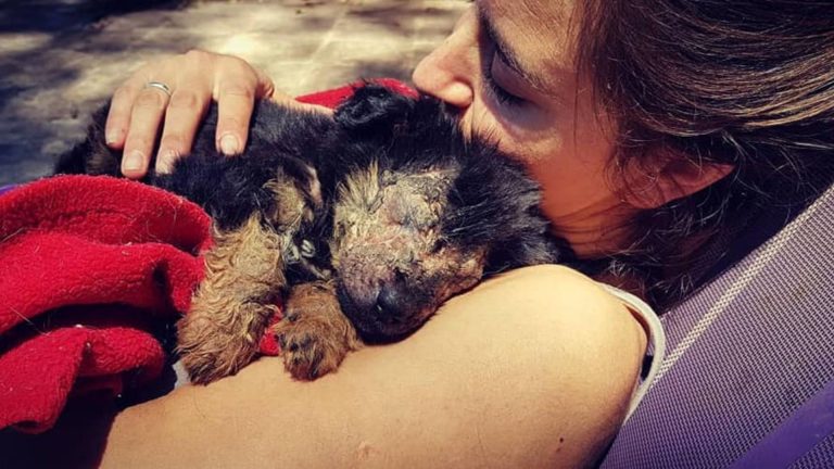 photo of a woman and a small dog cuddling
