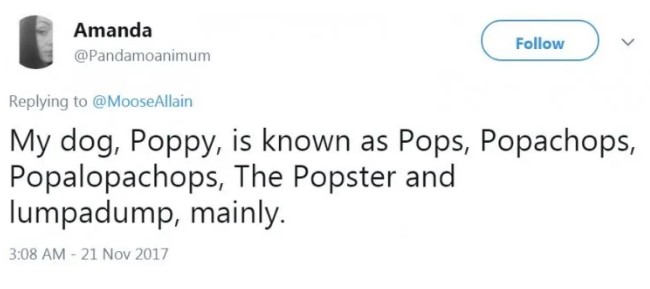 Because the name, Poppy