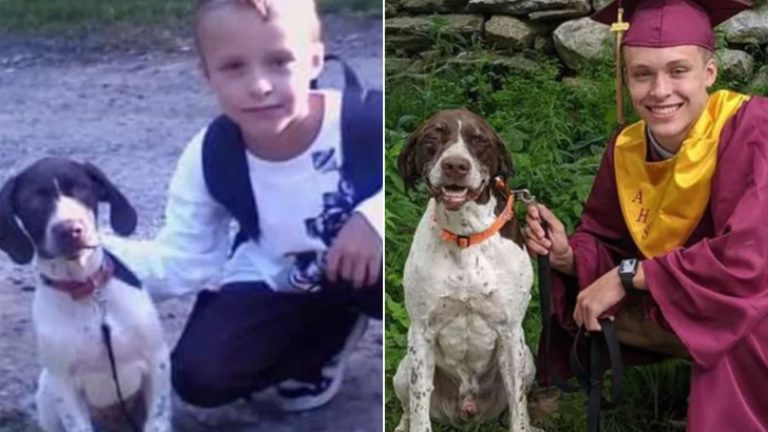 the boy and the dog also take pictures for graduation