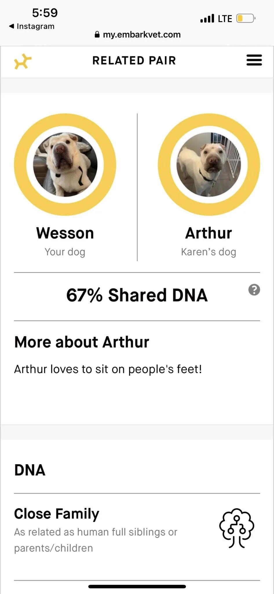 DNA test for dogs Wesson and Arthur
